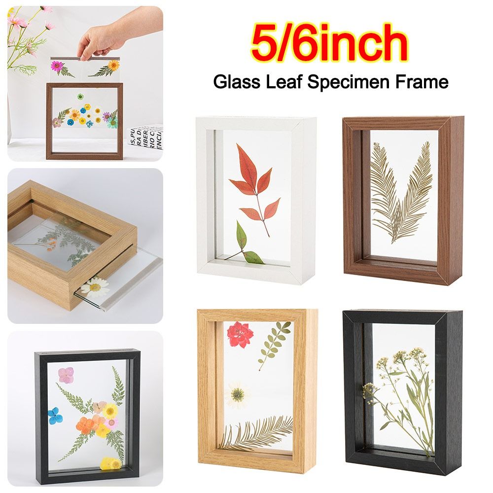 Bingkai Spesimen Daun Kaca Kay - Resin Art Frame ulasan dan harga