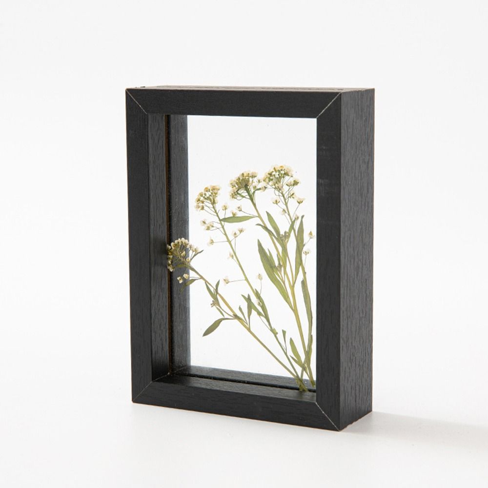 Bingkai Spesimen Daun Kaca Kay - Resin Art Frame ulasan dan harga